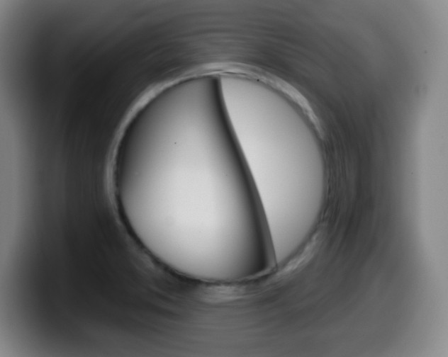 X0000099521373200805151023
