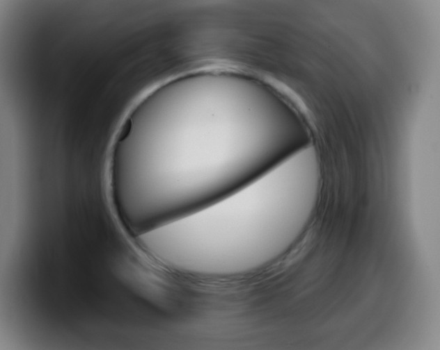 X0000099521375200805151023