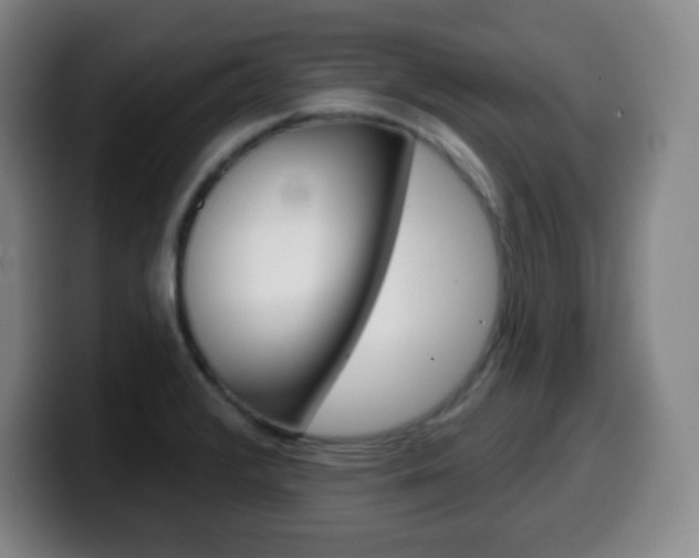 X0000099521376200805151023