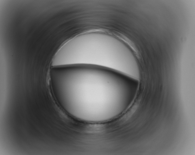 X0000099521377200805151023