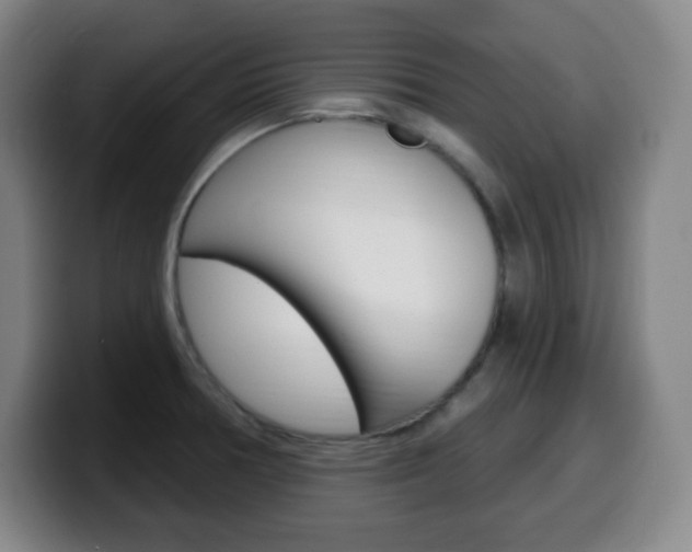 X0000099521378200805151023