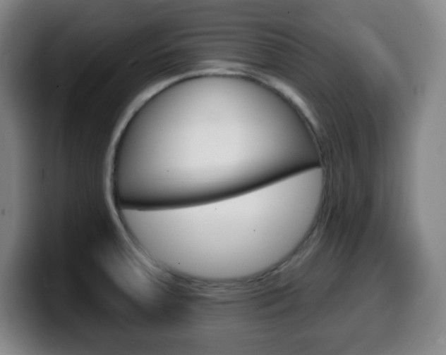 X0000099521379200805151023