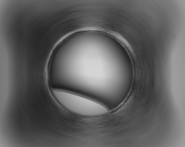X0000099521380200805151023