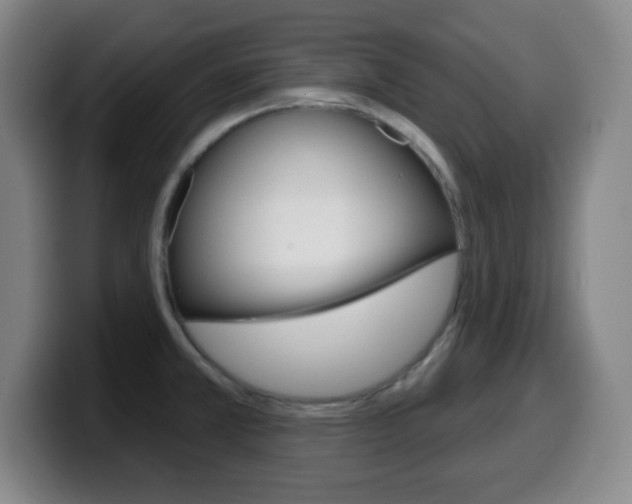 X0000099521381200805151023