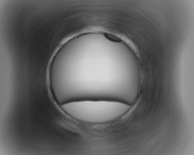 X0000099521382200805151023