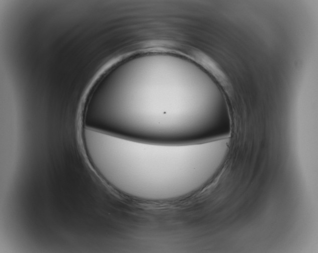 X0000099521384200805151023