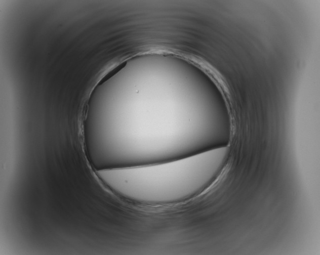 X0000099521385200805151023