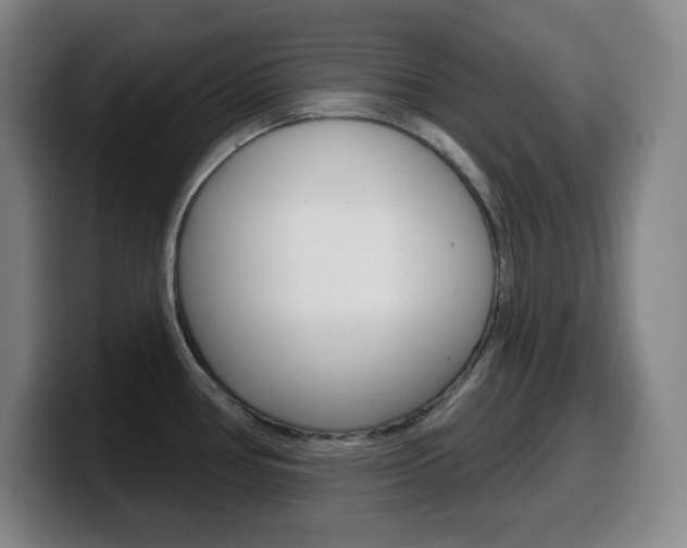 X0000099521386200805151023