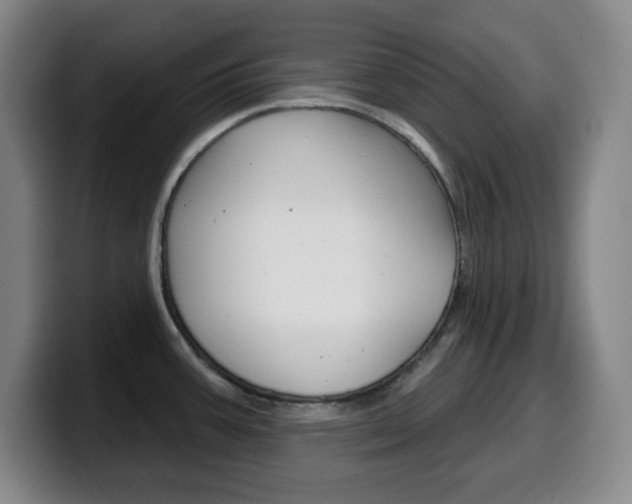 X0000099521387200805151023