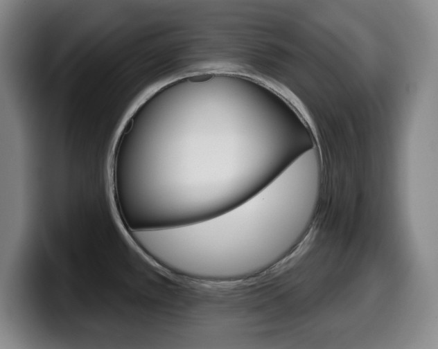 X0000099521389200805151023