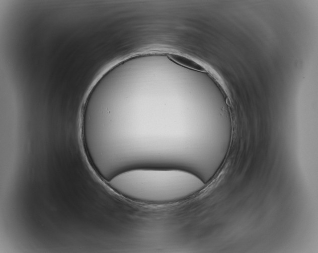 X0000099521390200805151023