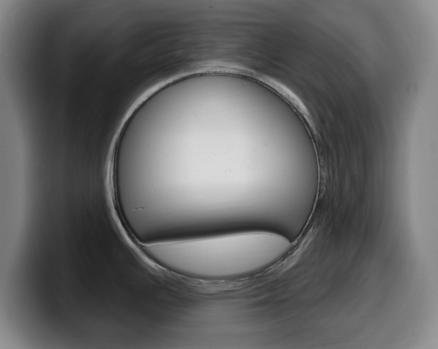 X0000099521391200805151023