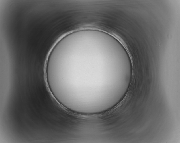 X0000099521392200805151023