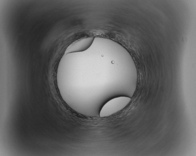 X0000099521393200805151022