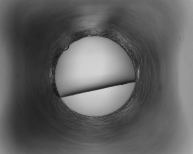 X0000099521395200805151022