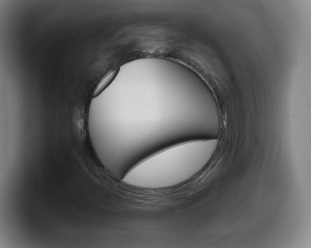 X0000099521396200805151022