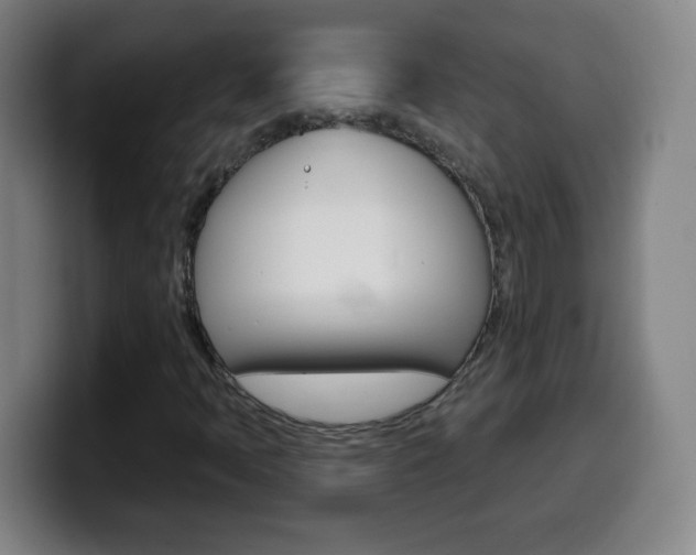 X0000099521397200805151022