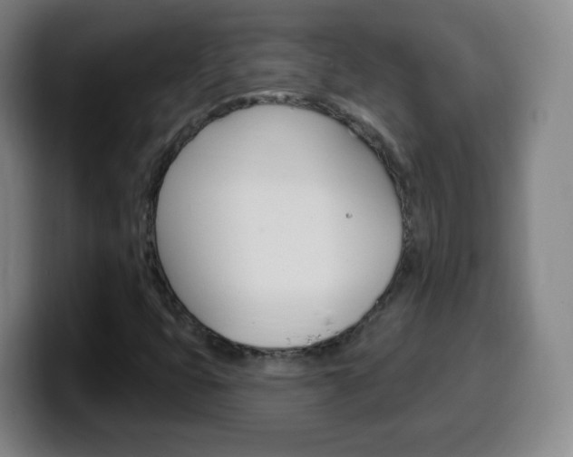 X0000099521399200805151022