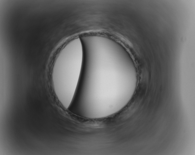 X0000099521400200805151022