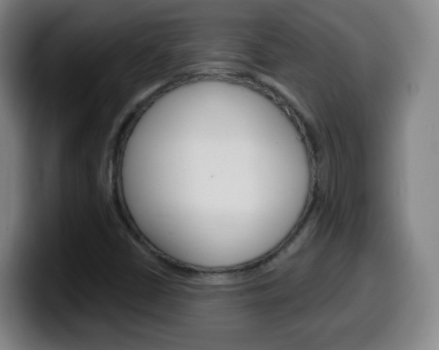 X0000099521402200805151022
