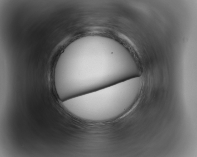 X0000099521403200805151022