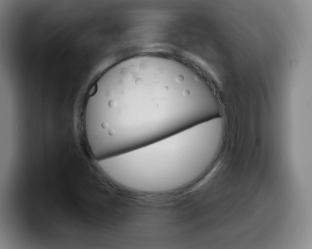 X0000099521405200805151022
