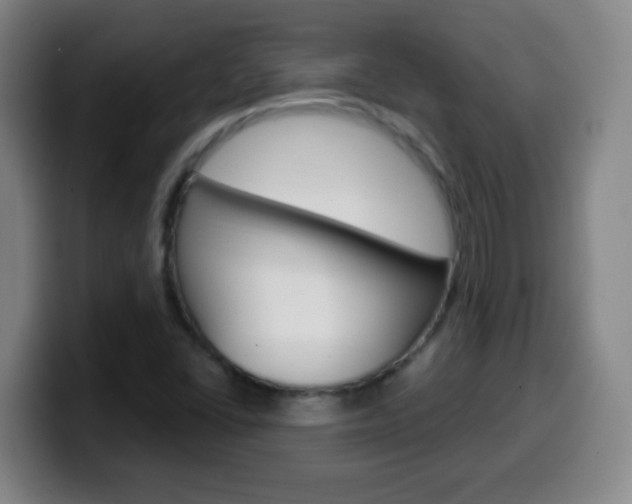 X0000099521406200805151022