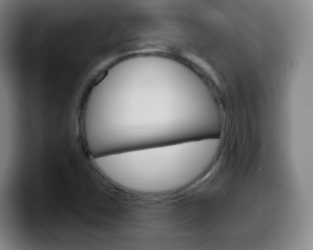 X0000099521407200805151022