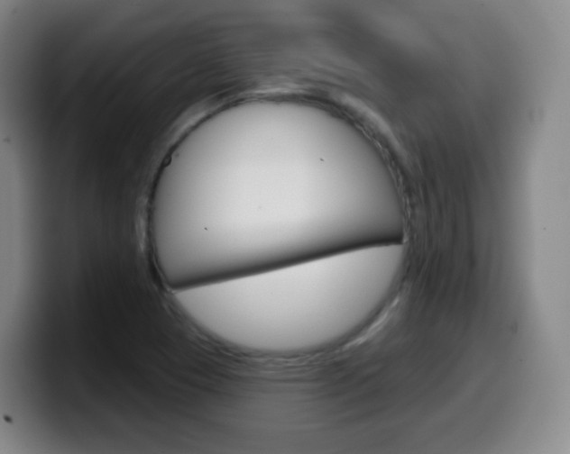 X0000099521409200805151022