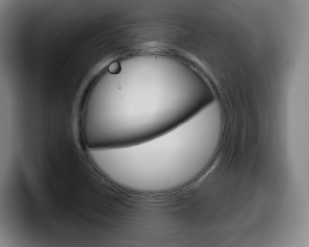 X0000099521410200805151022