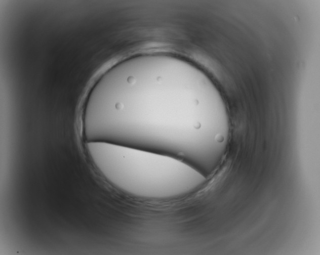 X0000099521413200805151022