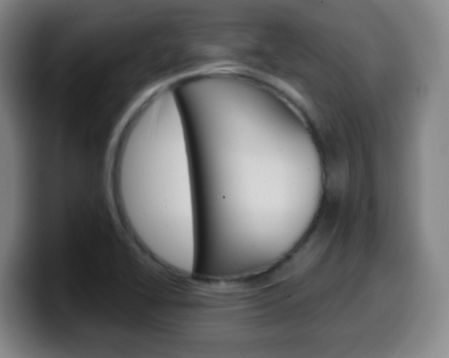 X0000099521414200805151023