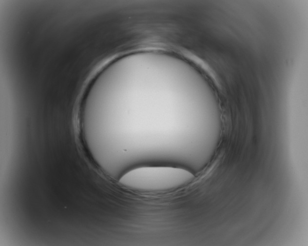 X0000099521415200805151023