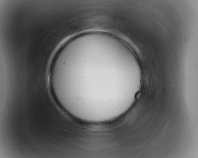 X0000099521416200805151023