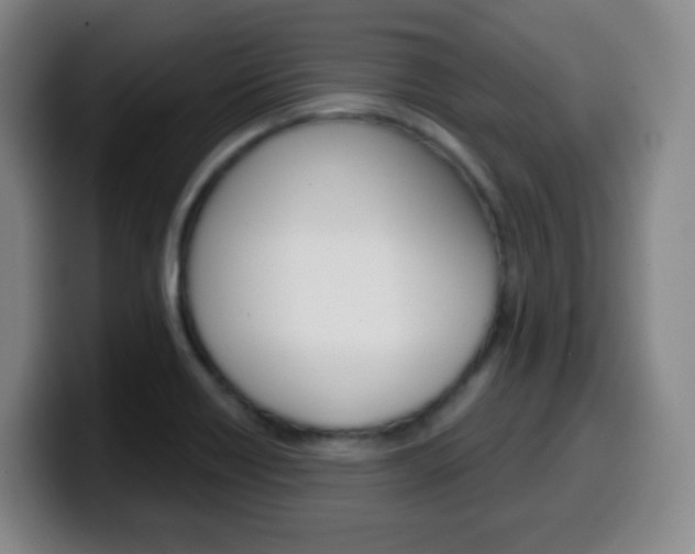 X0000099521418200805151023