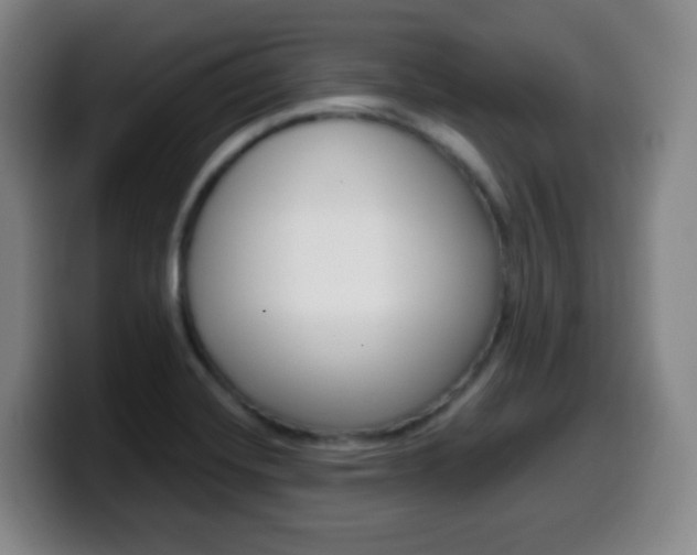 X0000099521420200805151023