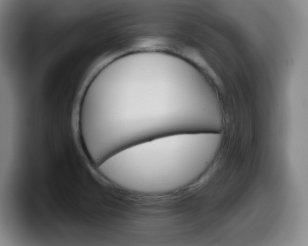X0000099521421200805151023