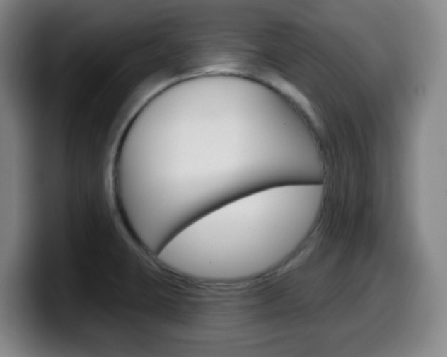 X0000099521423200805151023