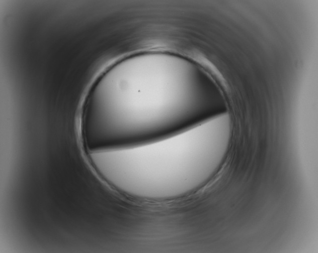 X0000099521424200805151023