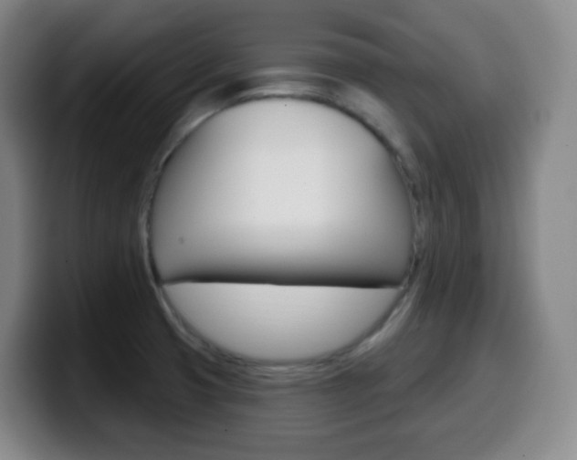 X0000099521425200805151023