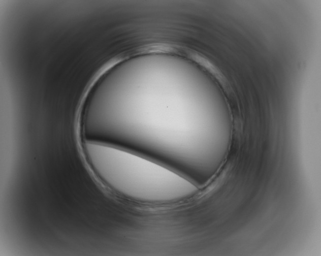 X0000099521426200805151023