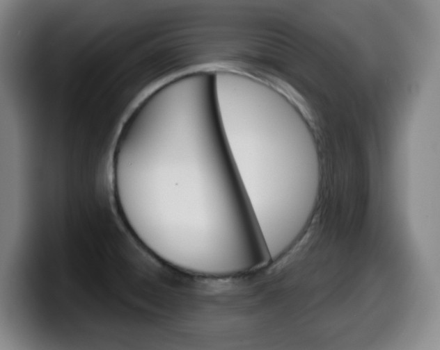 X0000099521428200805151023