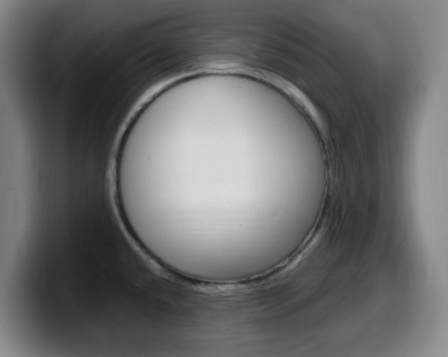X0000099521432200805151023