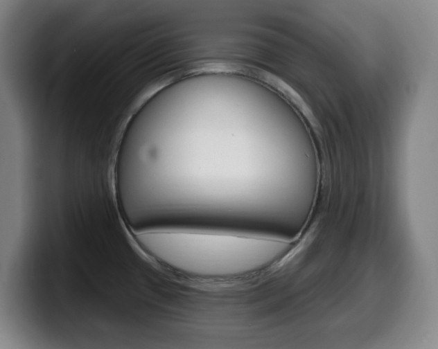 X0000099521433200805151023