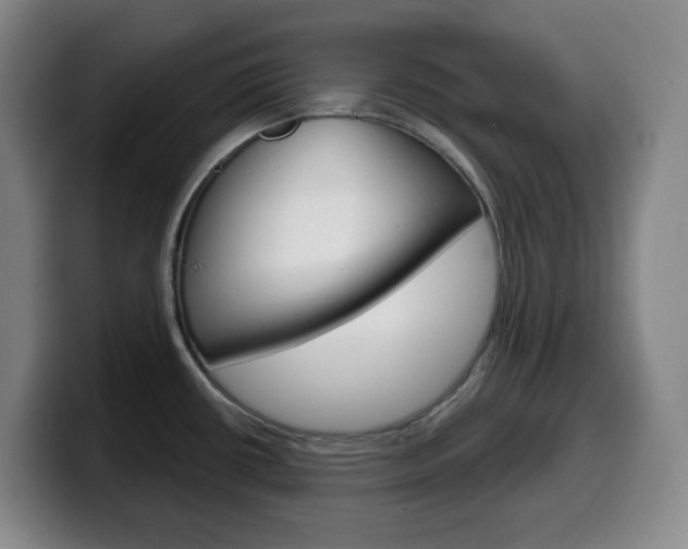 X0000099521434200805151023