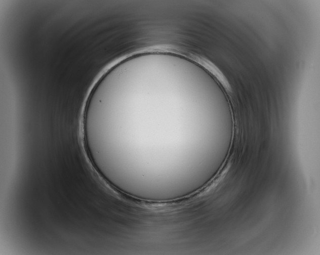 X0000099521436200805151023