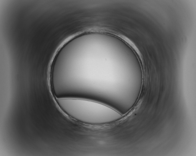 X0000099521437200805151023
