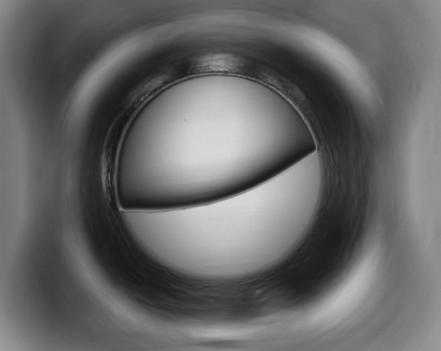 X0000099521438200805151023