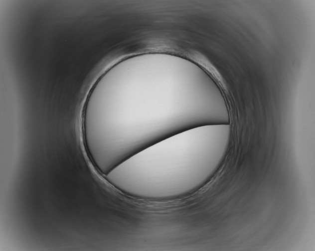 X0000099521439200805151023