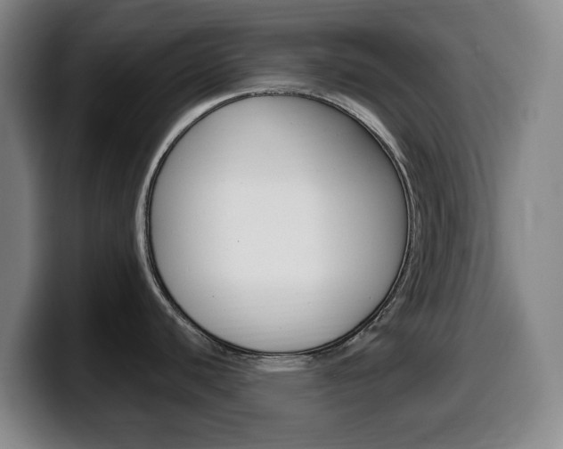 X0000099521440200805151023